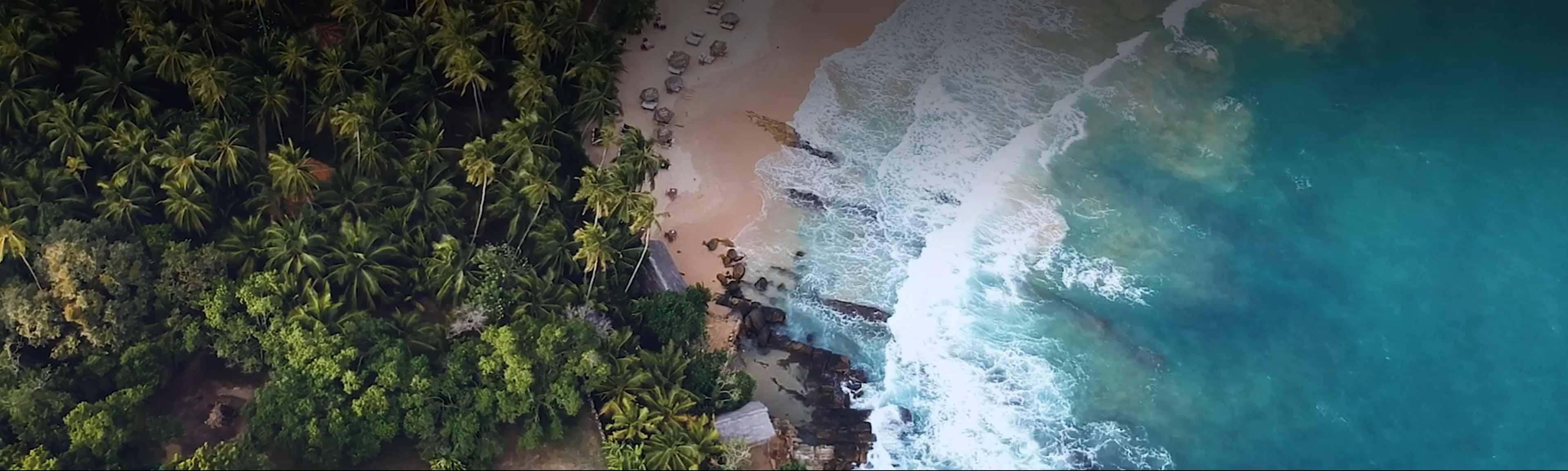 Tropical Beach & Sea